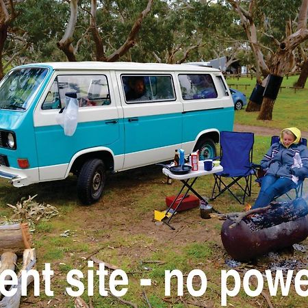 Bimbi Park - Camping Under Koalas Cape Otway Exterior foto