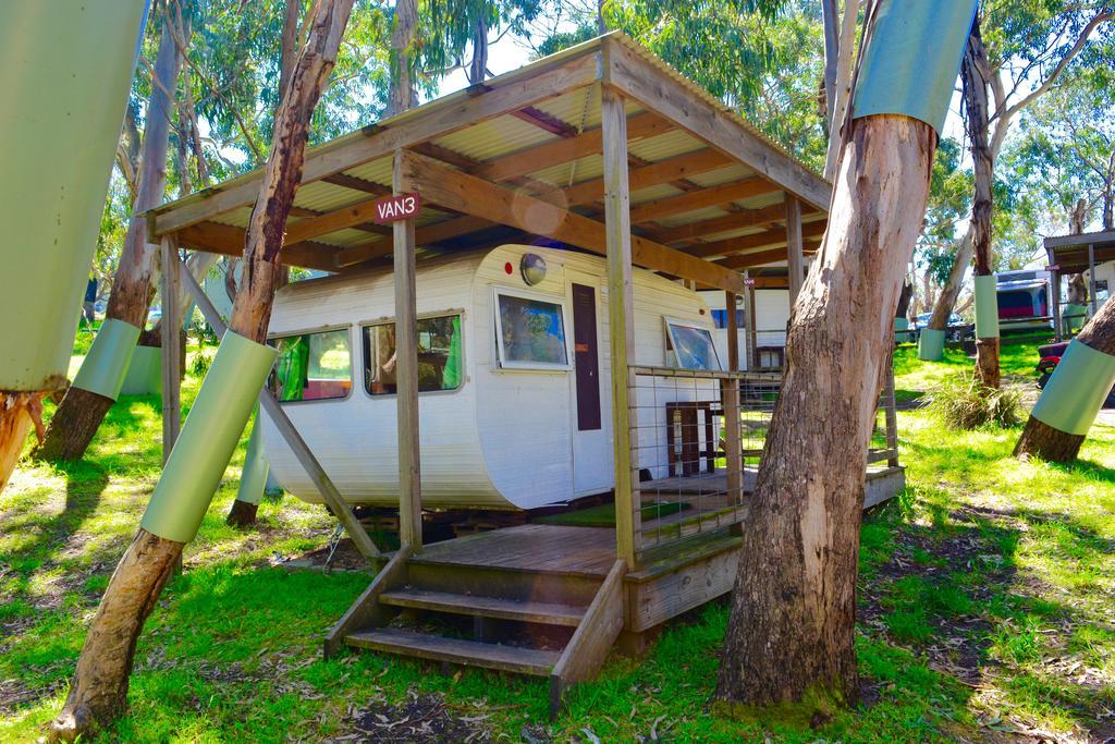 Bimbi Park - Camping Under Koalas Cape Otway Exterior foto