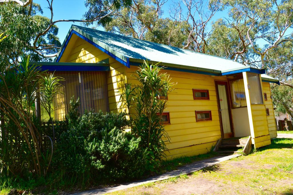 Bimbi Park - Camping Under Koalas Cape Otway Exterior foto
